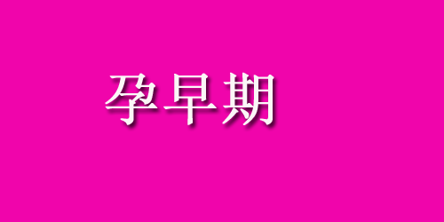 【怀孕吃什么水果好】孕妇能吃山楂吗？