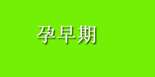 孕妇吃什么海鲜对胎儿好？为什