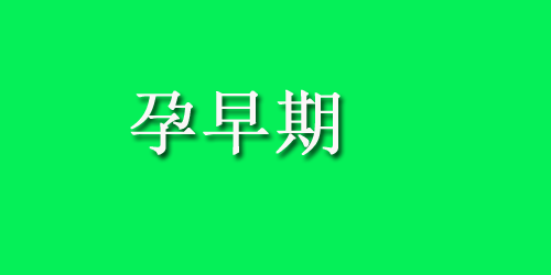 孕妇高血压吃什么好?三种食