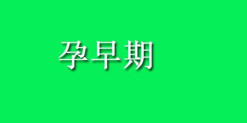 怀孕期间哪些食物绝对不能吃？你知道吗？