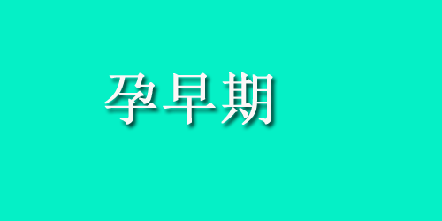 怀孕能不能吃土豆?孕妇吃土
