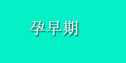 关爱母亲 | 怀孕没有胃口怎么办