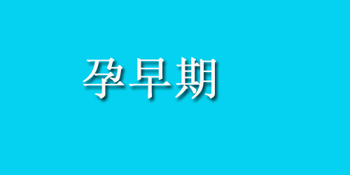 孕妇煲汤食谱大全推荐，美味易做！