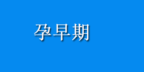 黄体功能不足不好孕，这么吃能有所改善哦！
