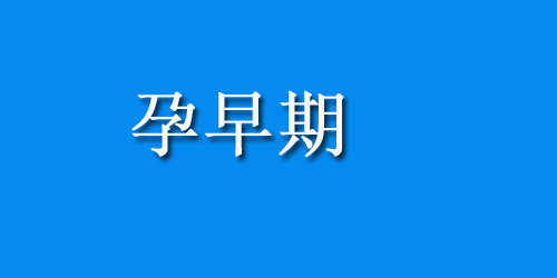 黄体功能不足不好孕，这么吃能