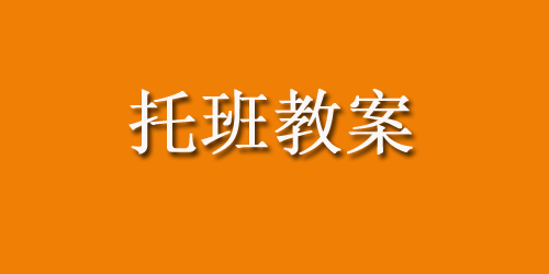 幼儿园托班主题教案：吃东西之前要洗手