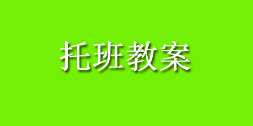 幼儿园托班活动教案：送球宝宝回家