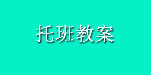 托班综合活动：天线宝宝