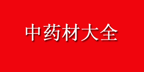 中药材大全药材认识：青豆角的功效与作用