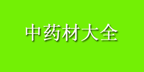中药材大全药材认识：蒲公英的