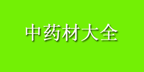 中药材大全药材认识：香橼果的功效与作用