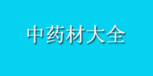 中药材大全药材认识：洋槐花蜂