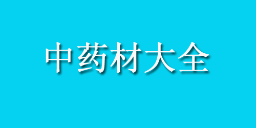 中药材大全药材认识：黄瓜子的功效与作用