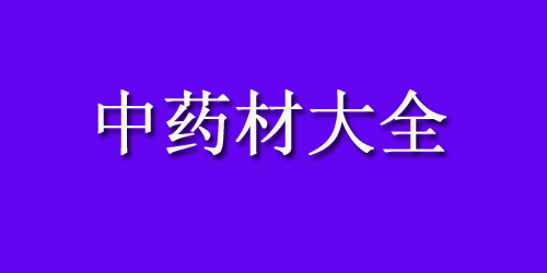 中药材大全药材认识：西红柿酱
