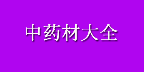 中药材大全药材认识：三七花的功效与副作用